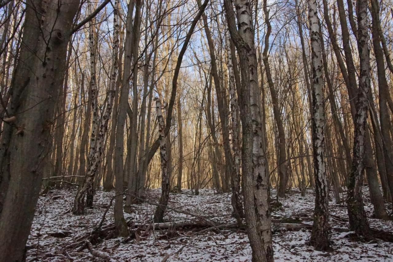 Gaestehaus Koehler Waldsolms Kültér fotó