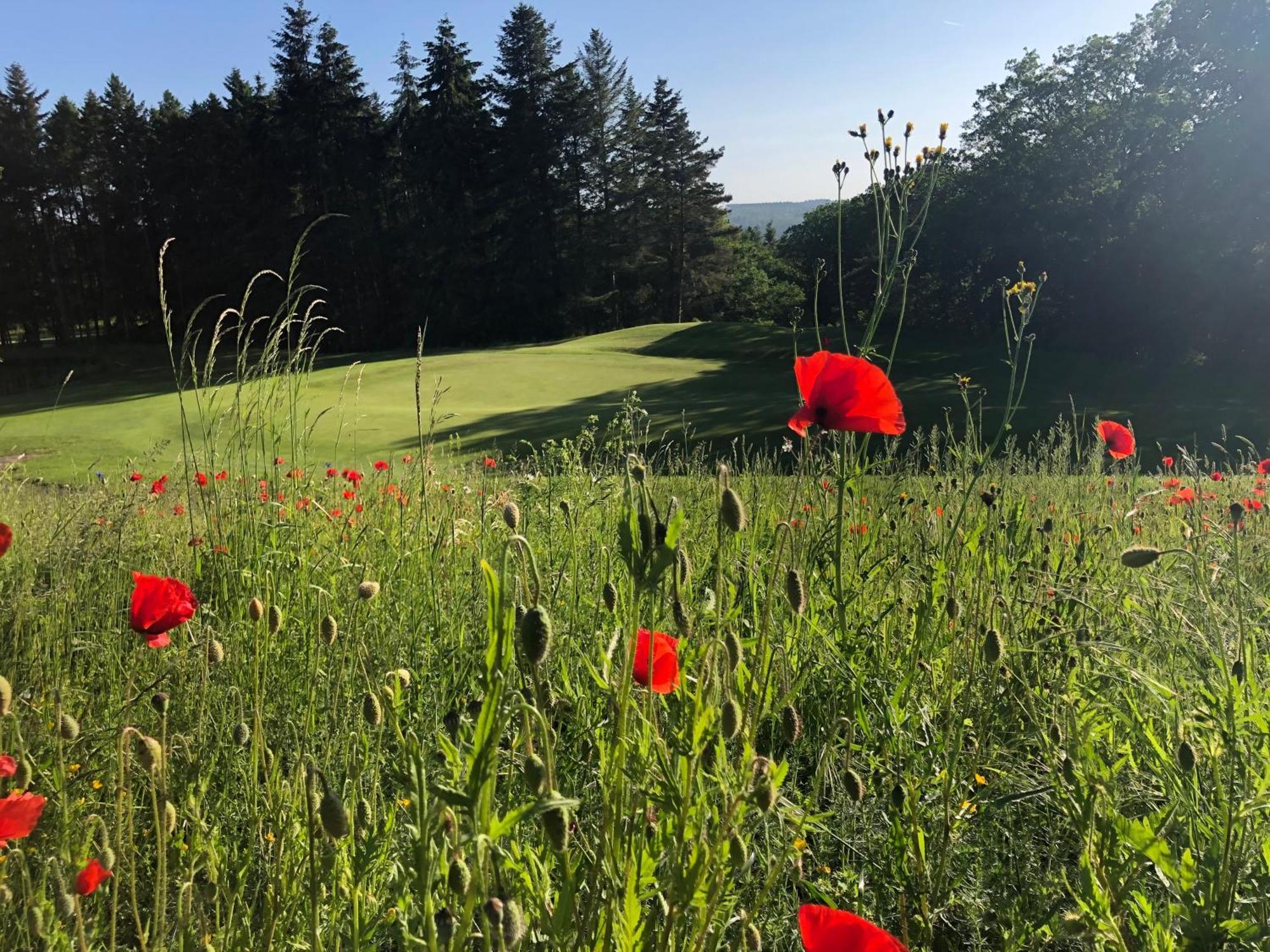 Gaestehaus Koehler Waldsolms Kültér fotó