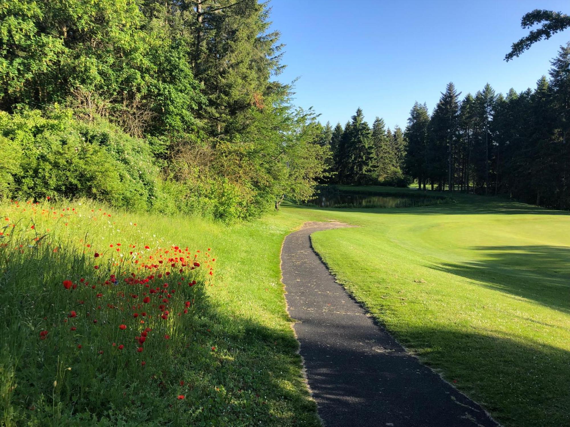 Gaestehaus Koehler Waldsolms Kültér fotó