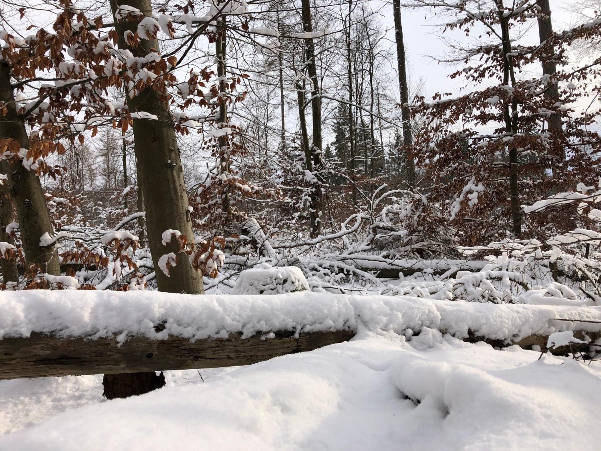 Gaestehaus Koehler Waldsolms Kültér fotó