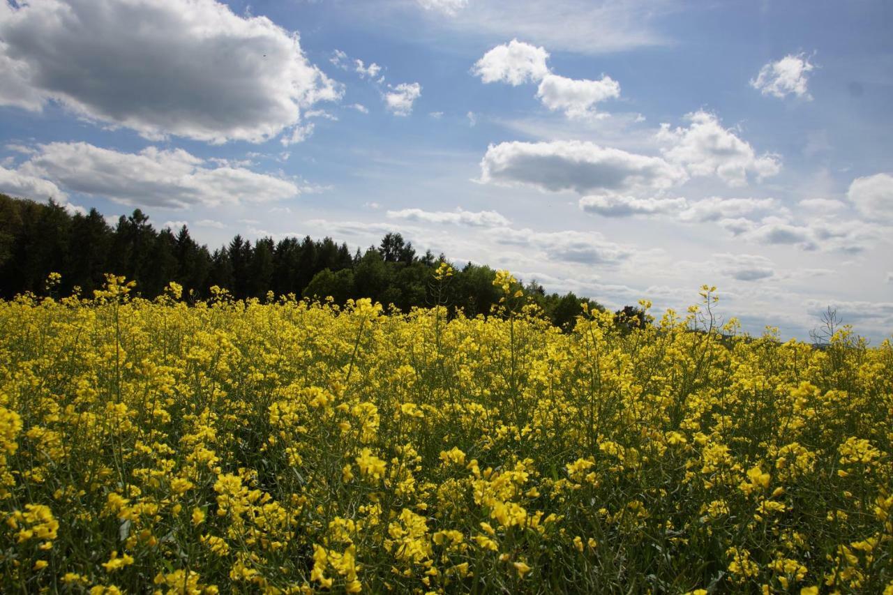 Gaestehaus Koehler Waldsolms Kültér fotó